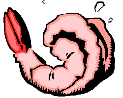 Shrimp.com. Your Internet Seafood Store.